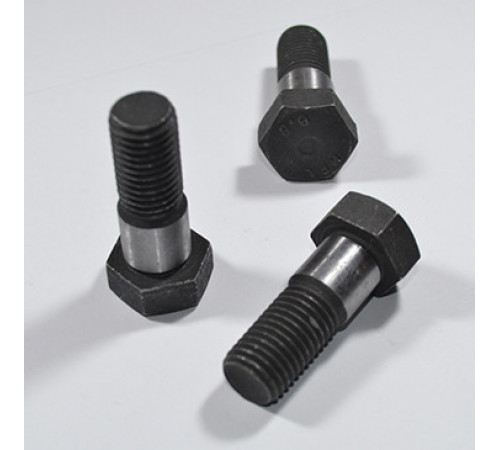 Болт призонний М20 DIN 609 клас міцності 8.8