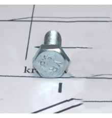 Болт шестигранний М6 ГОСТ 7798-70, 7805-70, DIN 931, 933 клас міцності 5.8