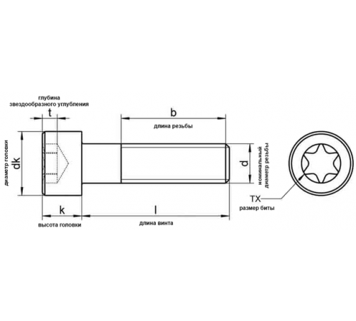 Гвинт ISO 14579 М5 з циліндричною голівкою під ключ Torx (зірка) ГОСТ Р ИСО 14579-2009
