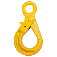 Гак з примусовим закриттям вантажний G80 (SL-81)