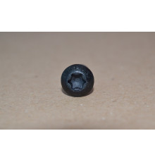 Гвинти DIN (ISO) 7380-1 під Torx