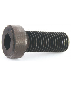 Матеріали виготовлення металевих гвинтів: сталь, латунь, нержавіюча сталь.