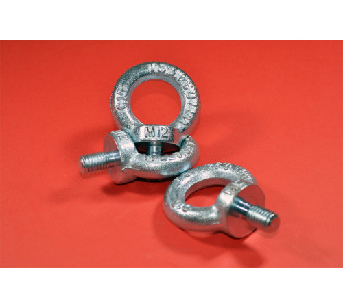 Рим-болт М12 DIN 580 з нержавіючої сталі