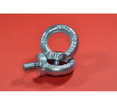 Рим-болт М12 DIN 580 з нержавіючої сталі