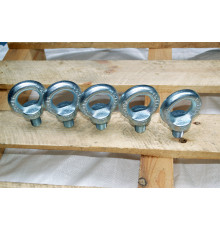 Рим-болт М20 DIN 580 з нержавіючої сталі