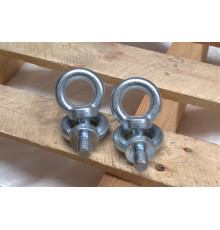 Рим-болт М6 DIN 580 з нержавіючої сталі