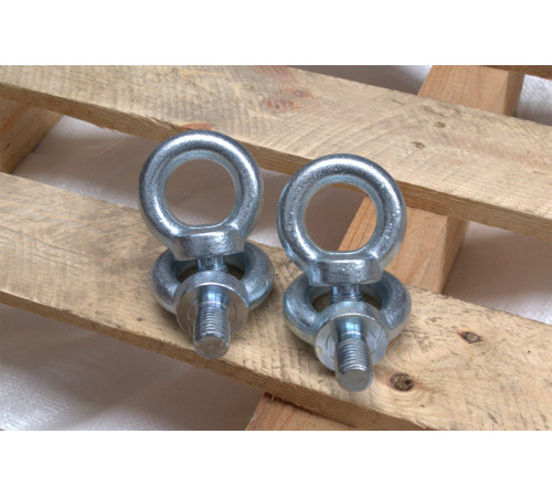 Рим-болт М8 DIN 580 з нержавіючої сталі