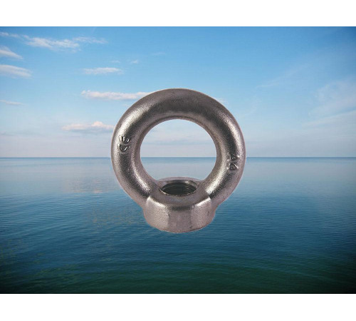 Рым-гайка М20 DIN 582 из нержавейки